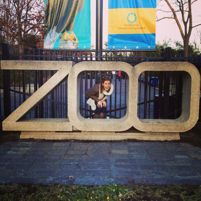 DC Zoo
